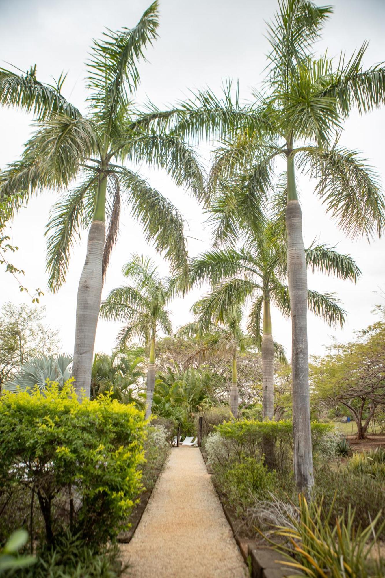 Latica Lodge Playa Negra Exterior photo
